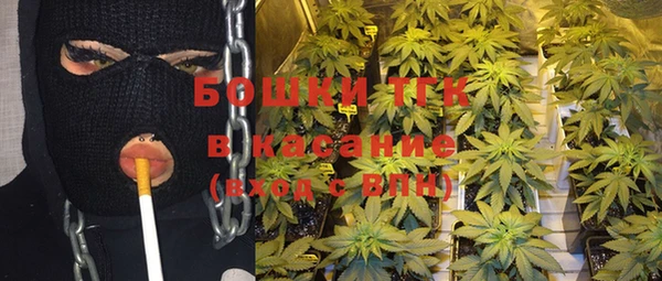 дмт Лиски