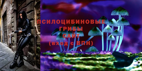 каннабис Куйбышев