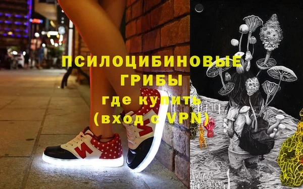 дмт Лиски