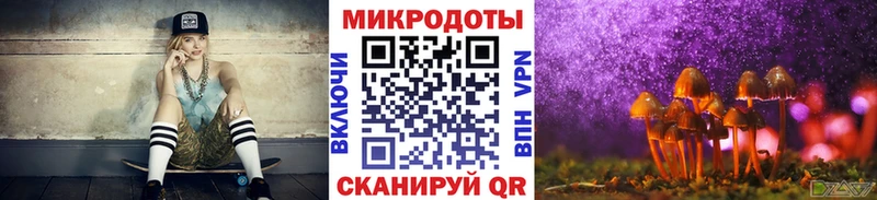 Купить  Апшеронск  Псилоцибиновые грибы Psilocybe 